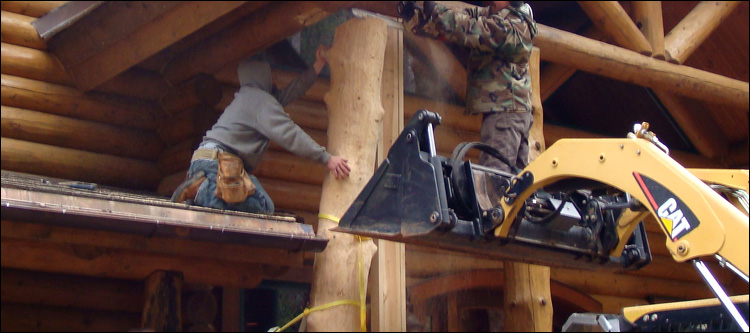 Log Home Log Replacement  Stafford County, Virginia