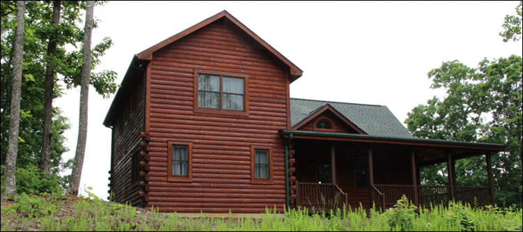 Professional Log Home Borate Application  Stafford County, Virginia