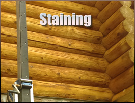  Stafford County, Virginia Log Home Staining